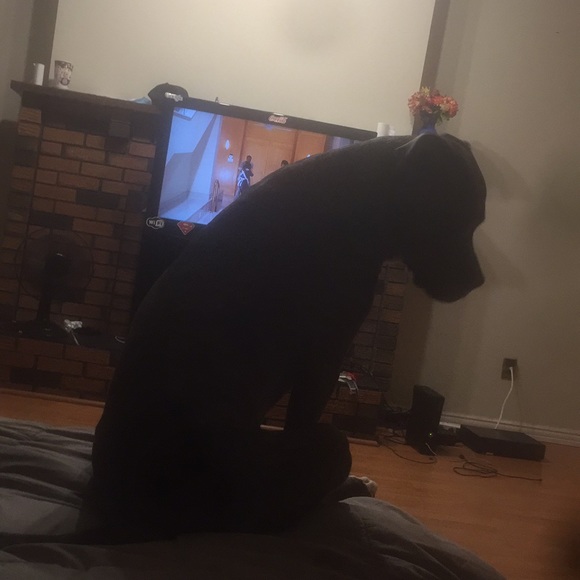 Meet your Posher, Sandeep - Picture 1 of 1